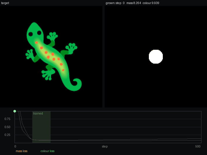 The gecko growing in colour