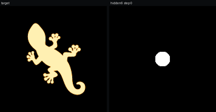The gecko growing